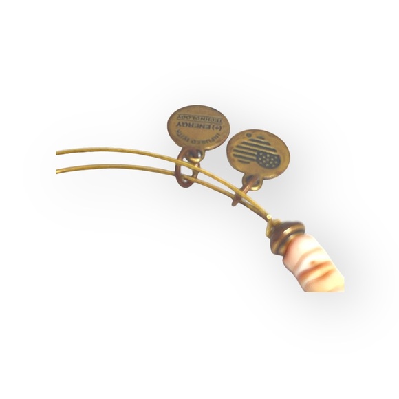 Alex and Ani 𖤗 Terra Horizon Beaded Expand Bangle Bracelet 𖤗 Rafaelian Gold 𖤗 - Picture 5 of 16